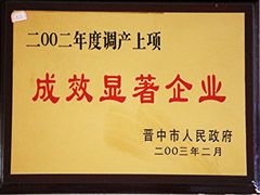 2002年晉中市成效顯著企業(yè)