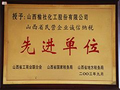 2003年山西省民營(yíng)企業(yè)企業(yè)先進(jìn)單位